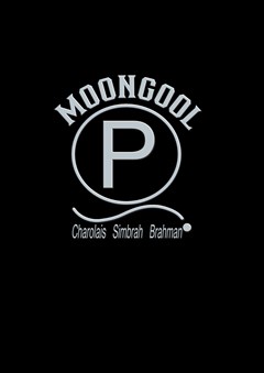 Logo for Gold Sponsor - Moongool
